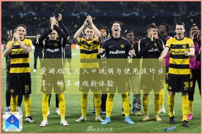 爱游戏官方入口说明与使用技巧分享，畅享游戏新体验